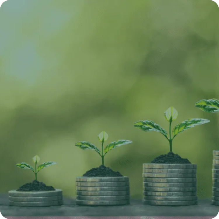 ROI of Sustainability Abstract